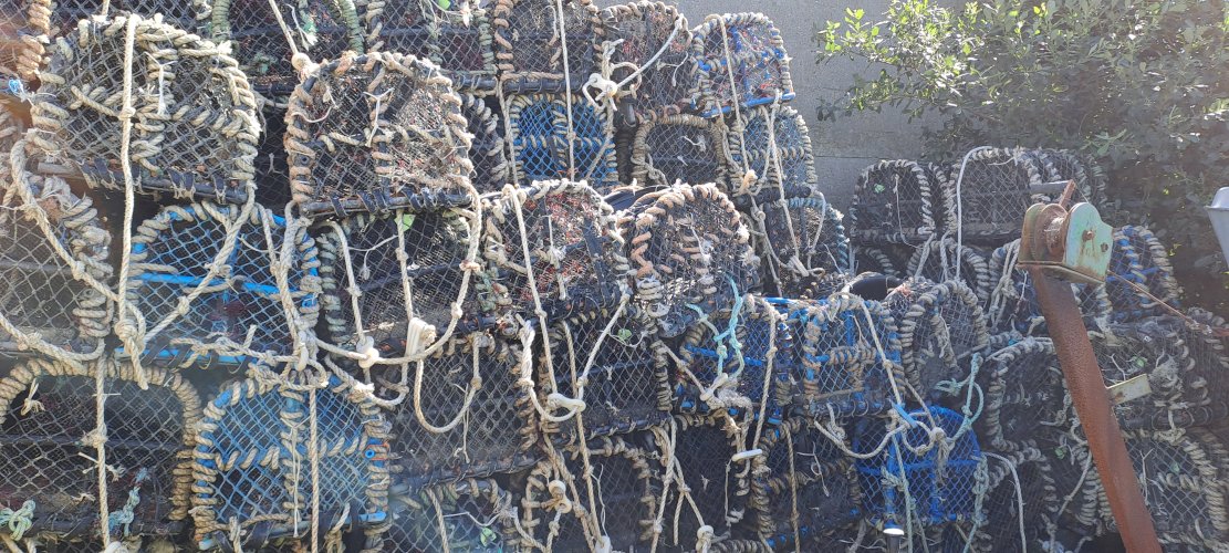 150 casiers Belle-Ile