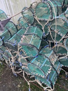 a vendre casiers a langous faire offre