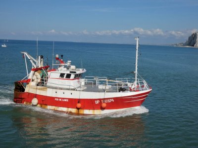 À VENDRE – CHALUTIER / NAVIRE DE PÊCHE 17,50 M – FER DE LANCE avec PME
