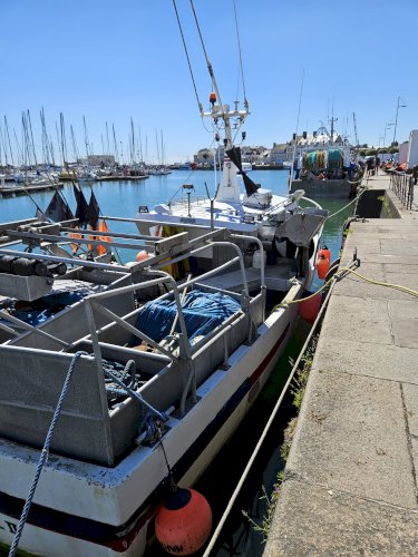 A Vendre - Fileyeur polyester 11,18 M 