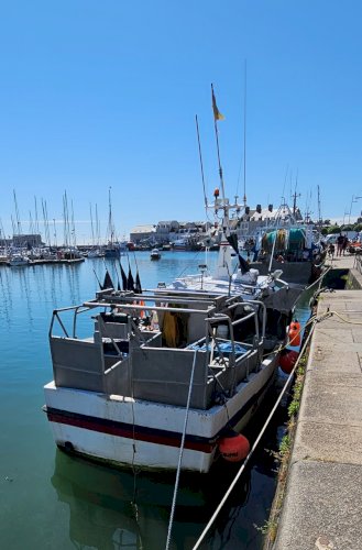A Vendre - Fileyeur polyester 11,18 M 