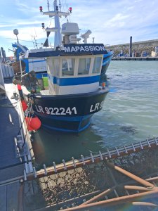 À vendre ligneur caseyeur
