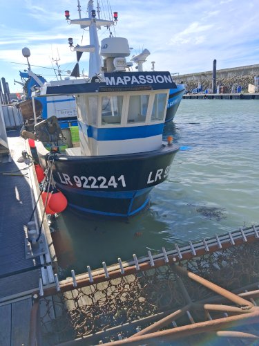À vendre 