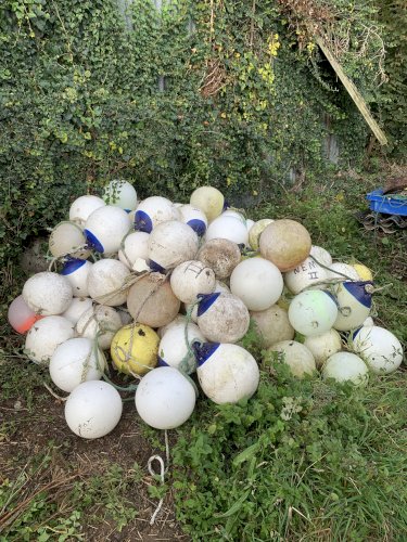 Ballons pour orins