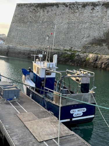 BATEAU BOIS POLYVALENT