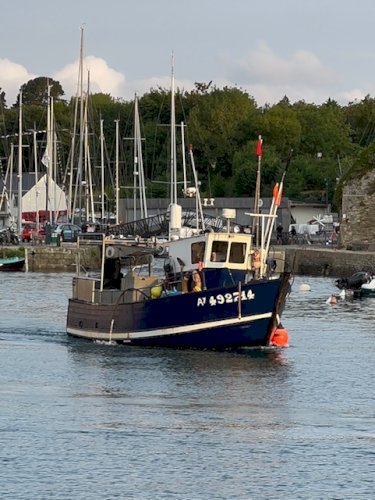 BATEAU BOIS POLYVALENT