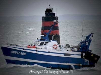 Bateau chalutier /coquillier 