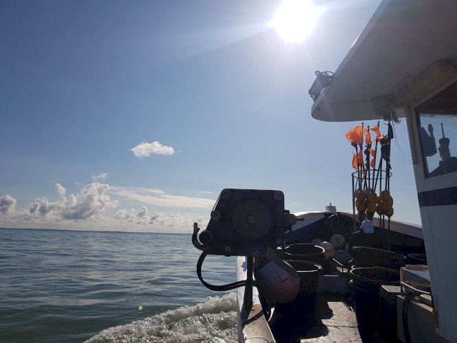 Bateau chalutier polyvalent 