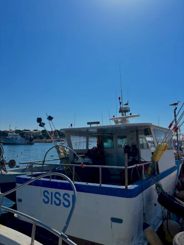 bateau de pêche à vendre avec AEP