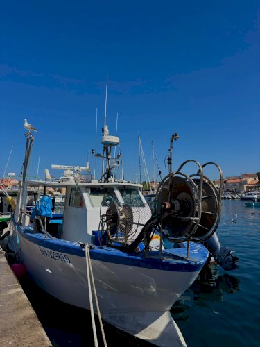 bateau de pêche à vendre avec AEP