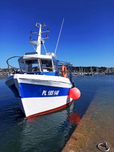 Bateau de pêche avec licence et PME