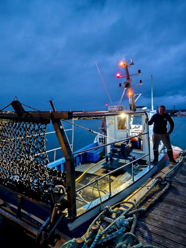 Bateau de pêche avec licence et PME