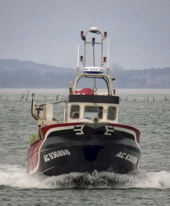 T-shirt Femme Guy Harvey - Motif "Island Marlin", Pêche, Couleur Framboise - 100% Coton, Fait Main Au Nicaragua