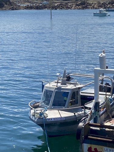 Bateau de pêche polyvalent Gosselin 