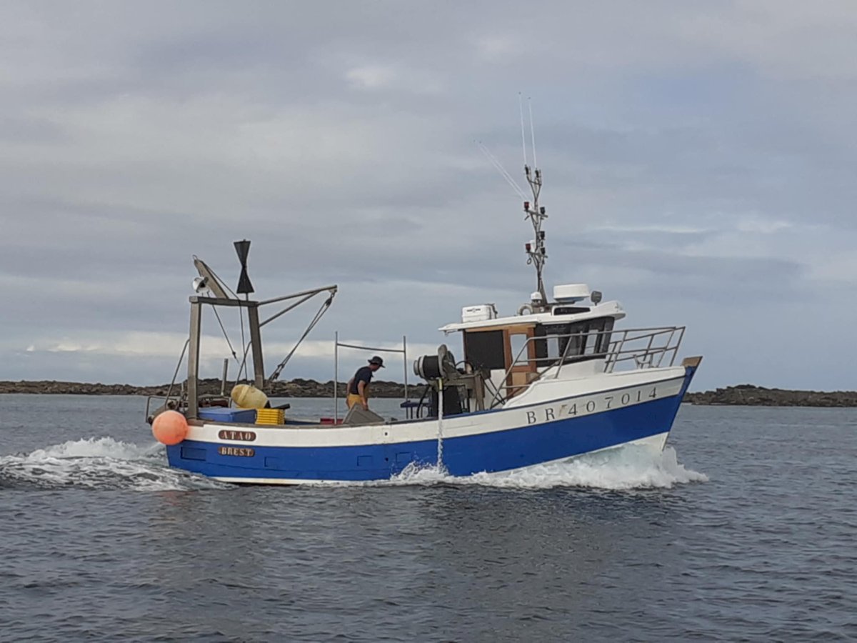 Bateau De P che Polyvalent Offre Termin e