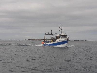 Bateau de pêche polyvalent 