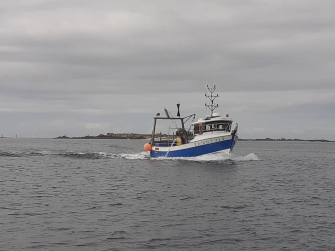 Bateau de pêche polyvalent 