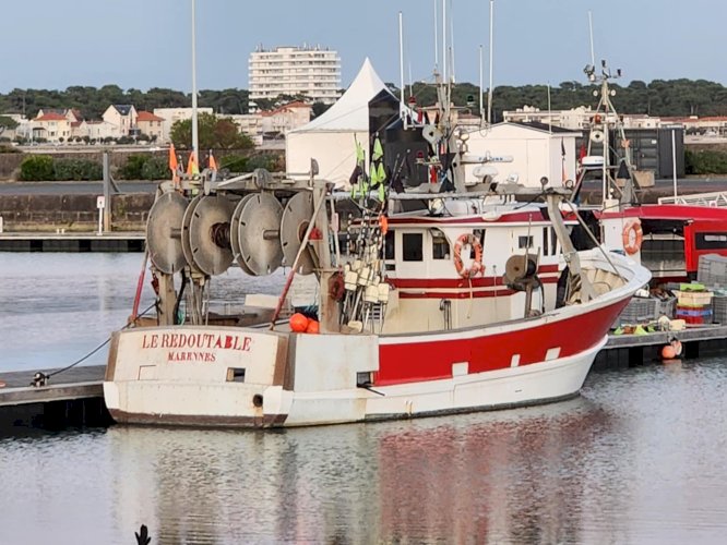 Bateau de pêche pro