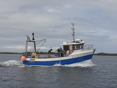 Bateau polyvalent 8.90m 