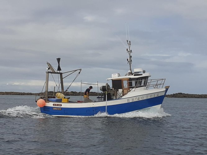 Bateau polyvalent 8.90m 