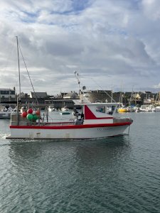 bateaux de pêche polyvalent  