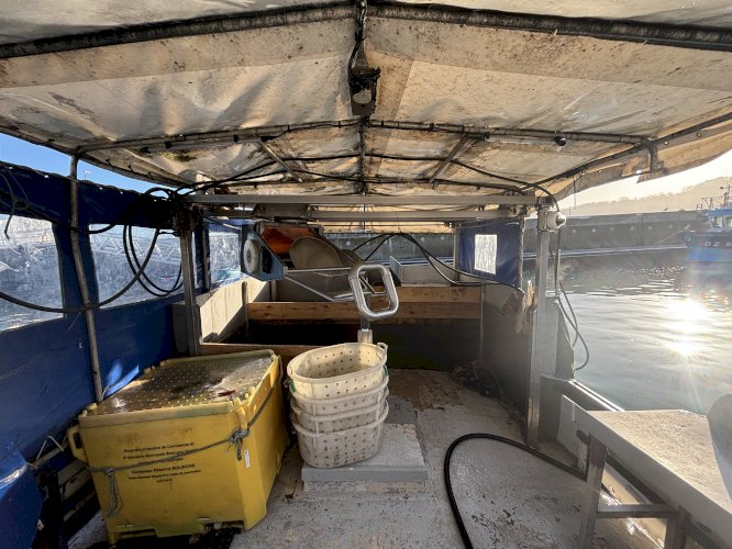 Beneteau 9.60 licence canot 
