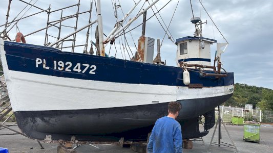 Caseyeur coquiller LE VOLTIGEUR