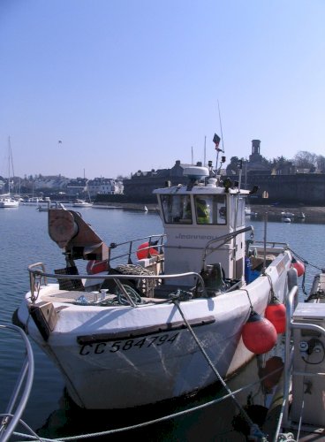 Caseyeur/fileyeur JEANNEAU polyvalent avec PME