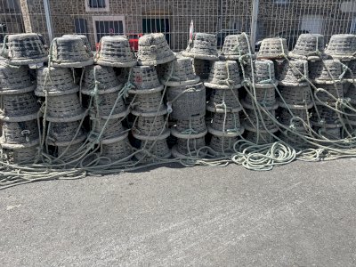 Casier à bulot 