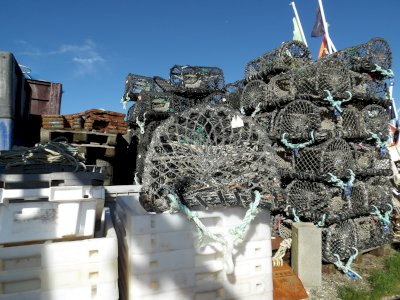 Lobster trap