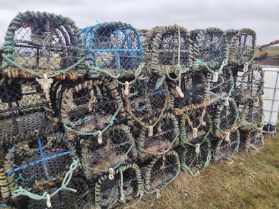 Lobster trap