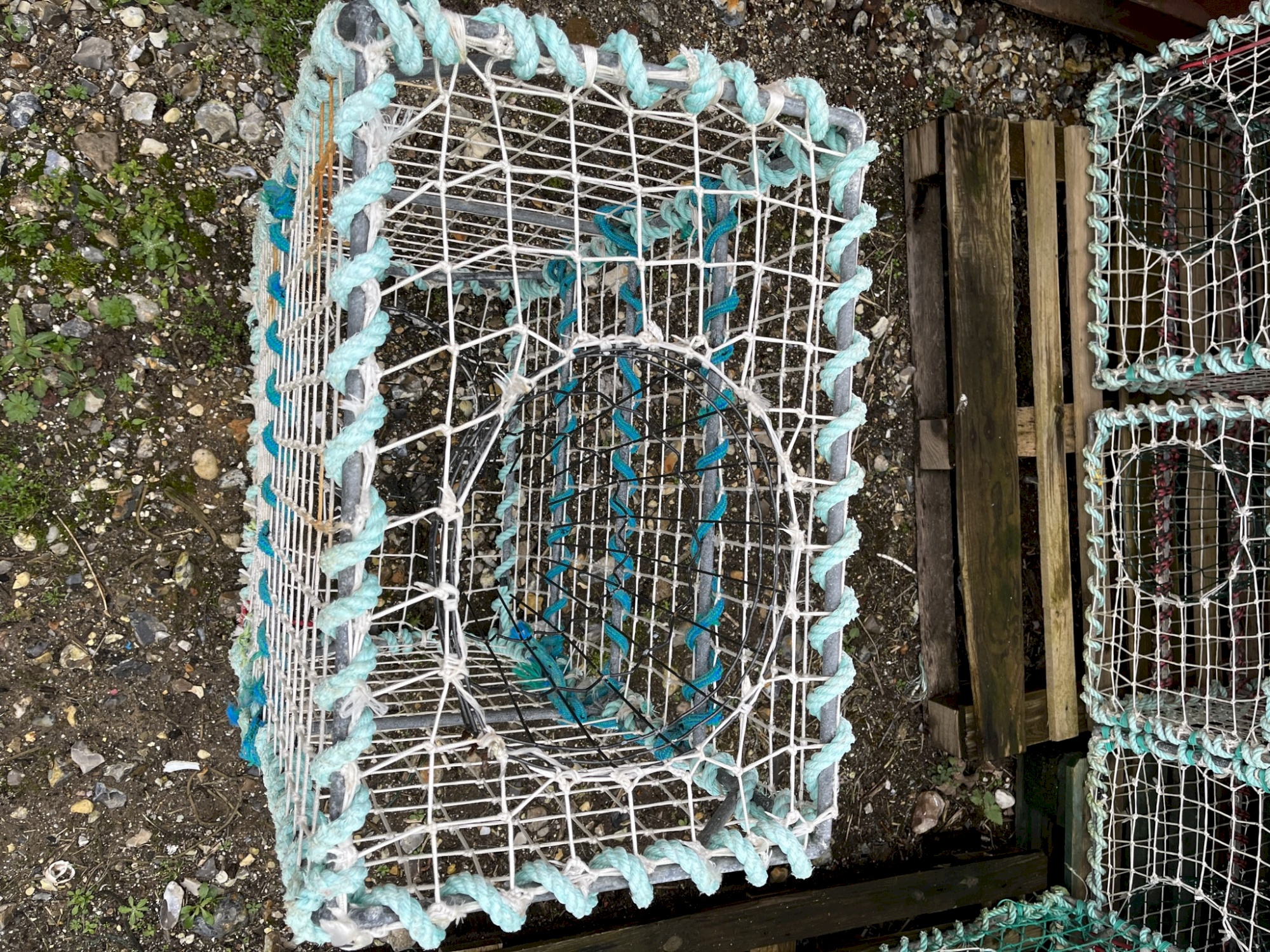 Casier à seiche Vendu Offre terminée