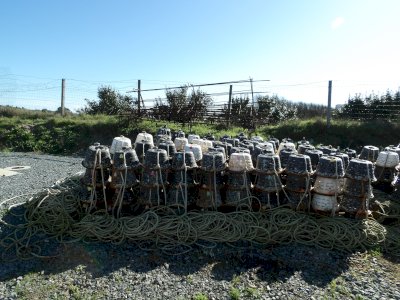 Whelk lockers