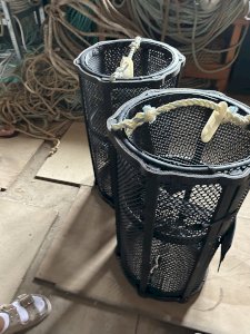 Shrimp traps