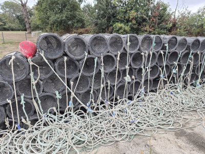 Shrimp traps