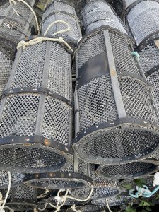 Shrimp traps