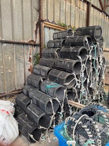 shrimp traps