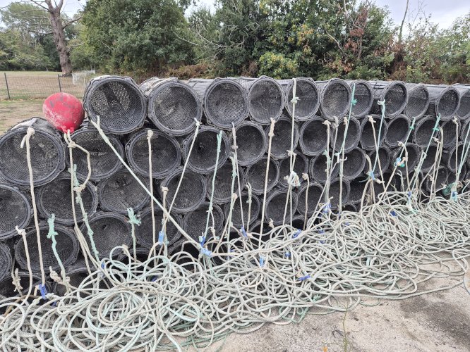 Casiers à crevettes 