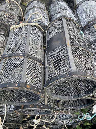 Casiers à crevettes 