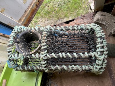 Lobster traps