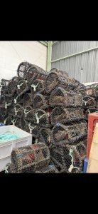 Lobster traps