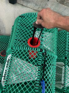 Casiers à langoustines