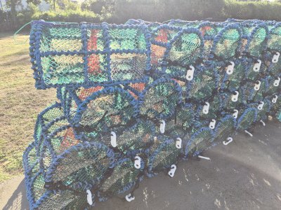 Casiers à langoustines 