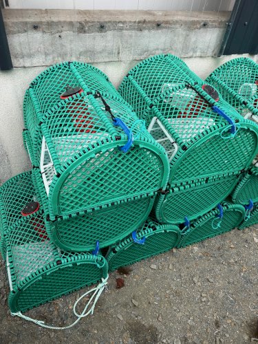 Casiers à langoustines