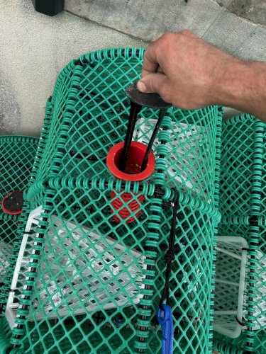Casiers à langoustines