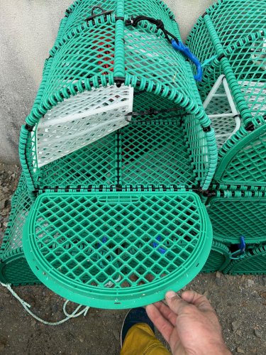 Casiers à langoustines