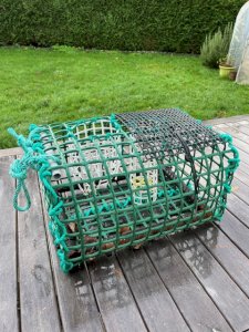 octopus cages (5 kg)