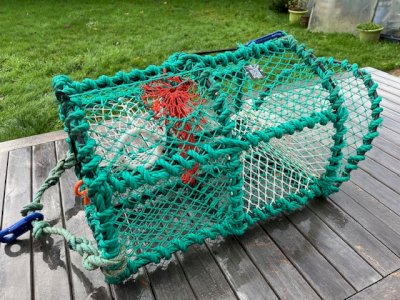 octopus and langoustine traps