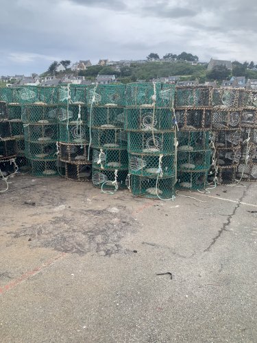 Casiers à poulpes/homards/crustacés/seiches 