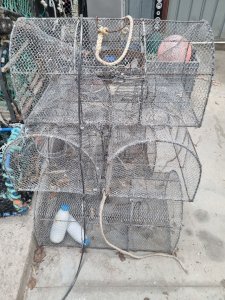 Cuttlefish traps